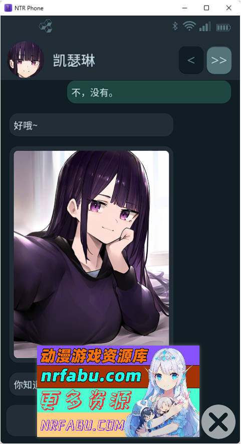 NTR手机 V0.29 官方中文版 [PC+安卓] [更新] [640M]